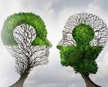 آیا تستهای شخصیتشناسی مسیر شغلی شما را تعیین میکنند؟ سفری از خودشناسی تا انتخاب حرفهای